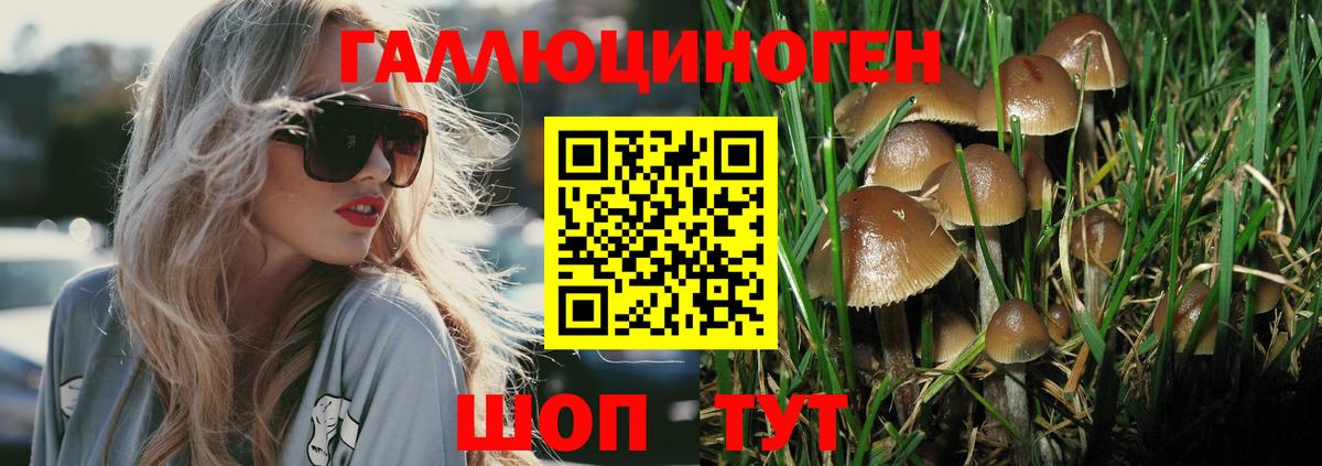Псилоцибиновые грибы MAGIC MUSHROOMS  Вход с VPN  Галлюциногенные грибы прущие грибы  как найти   Казань 